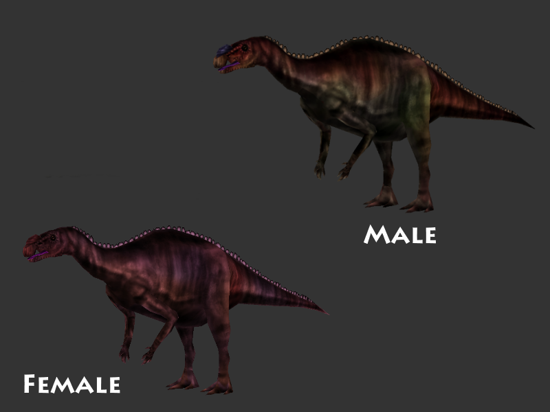 Muttaburrasaurus, with male and female variants